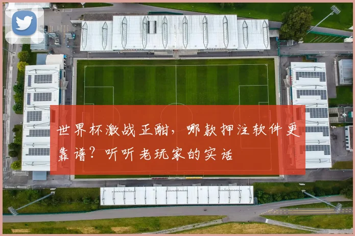 世界杯激战正酣，哪款押注软件更靠谱？听听老玩家的实话