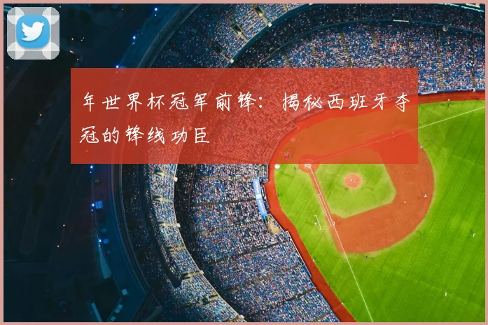 年世界杯冠军前锋:揭秘西班牙夺冠的锋线功臣