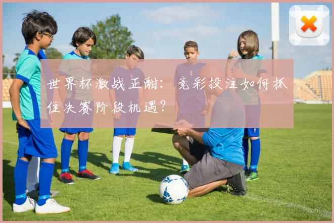 世界杯激战正酣：竞彩投注如何抓住决赛阶段机遇？